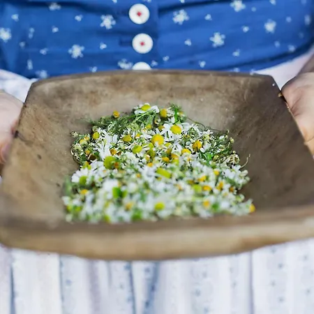 Landhotel Schafhuber Hotel Hinterthal