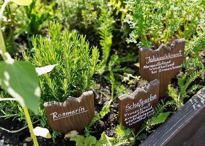 Hotel Landhotel Schafhuber